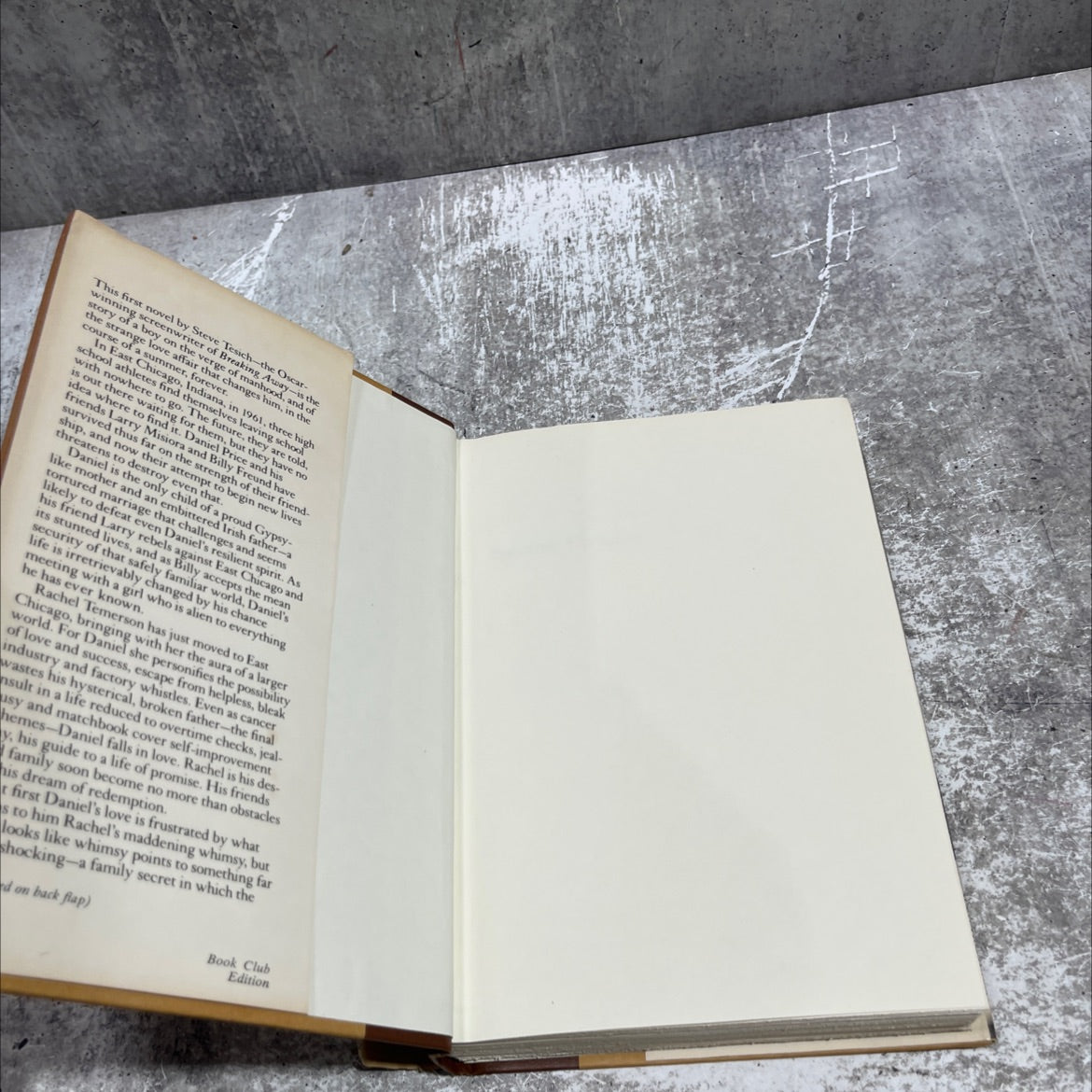 summer crossing book, by steve tesich, 1982 Hardcover image 4