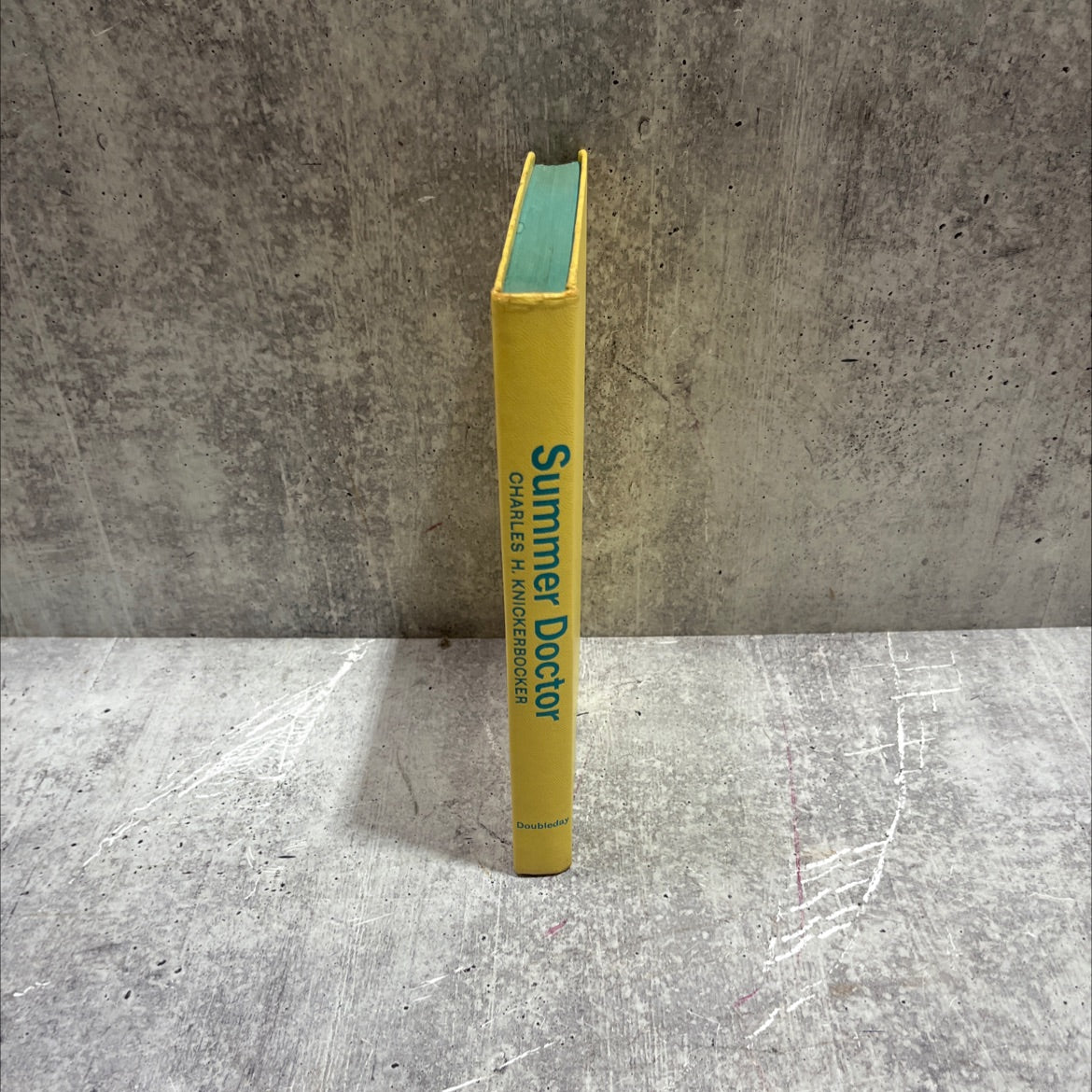 summer doctor book, by charles h. knickerbocker, 1963 Hardcover image 4