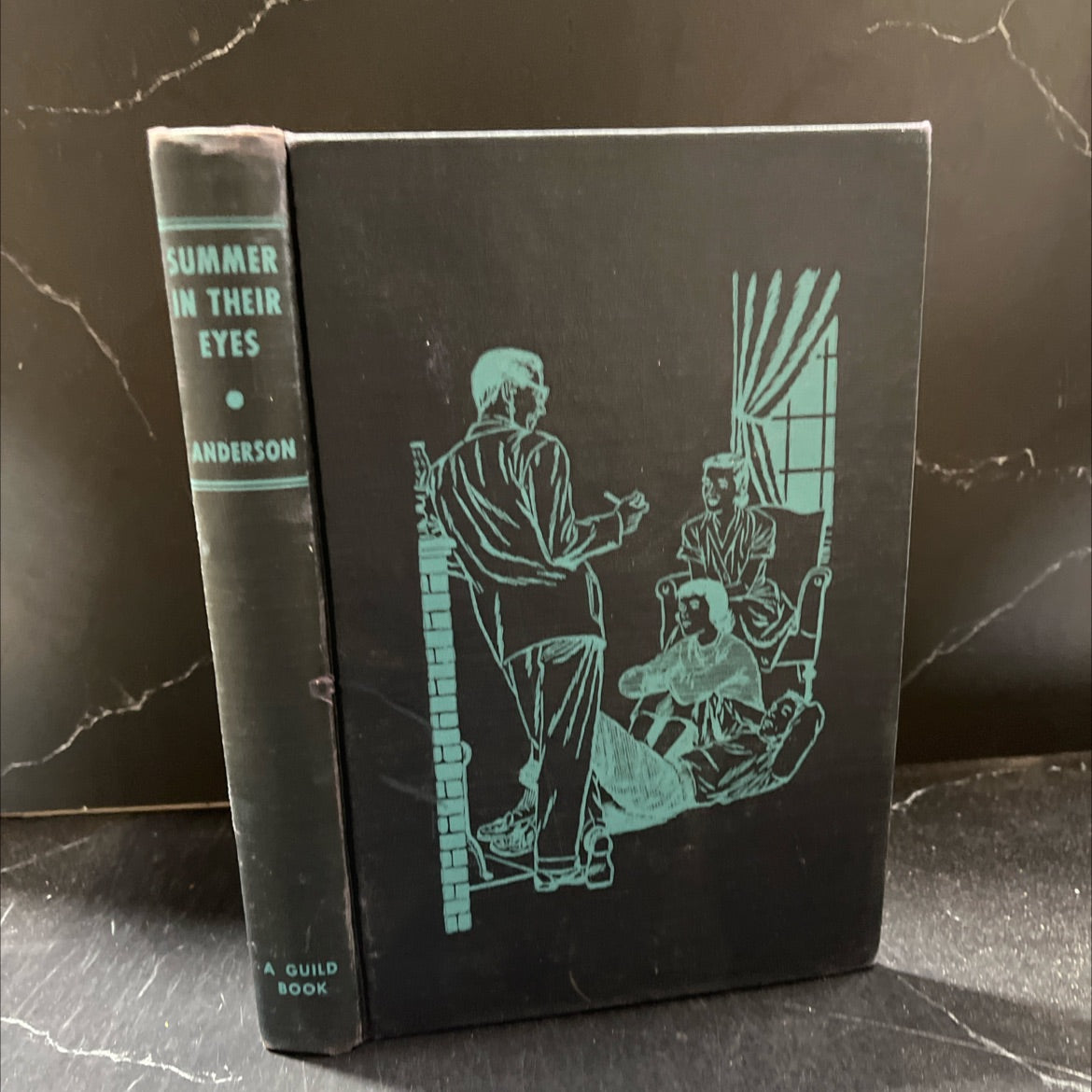 summer in their eyes book, by ethel todd anderson, 1952 Hardcover image 1