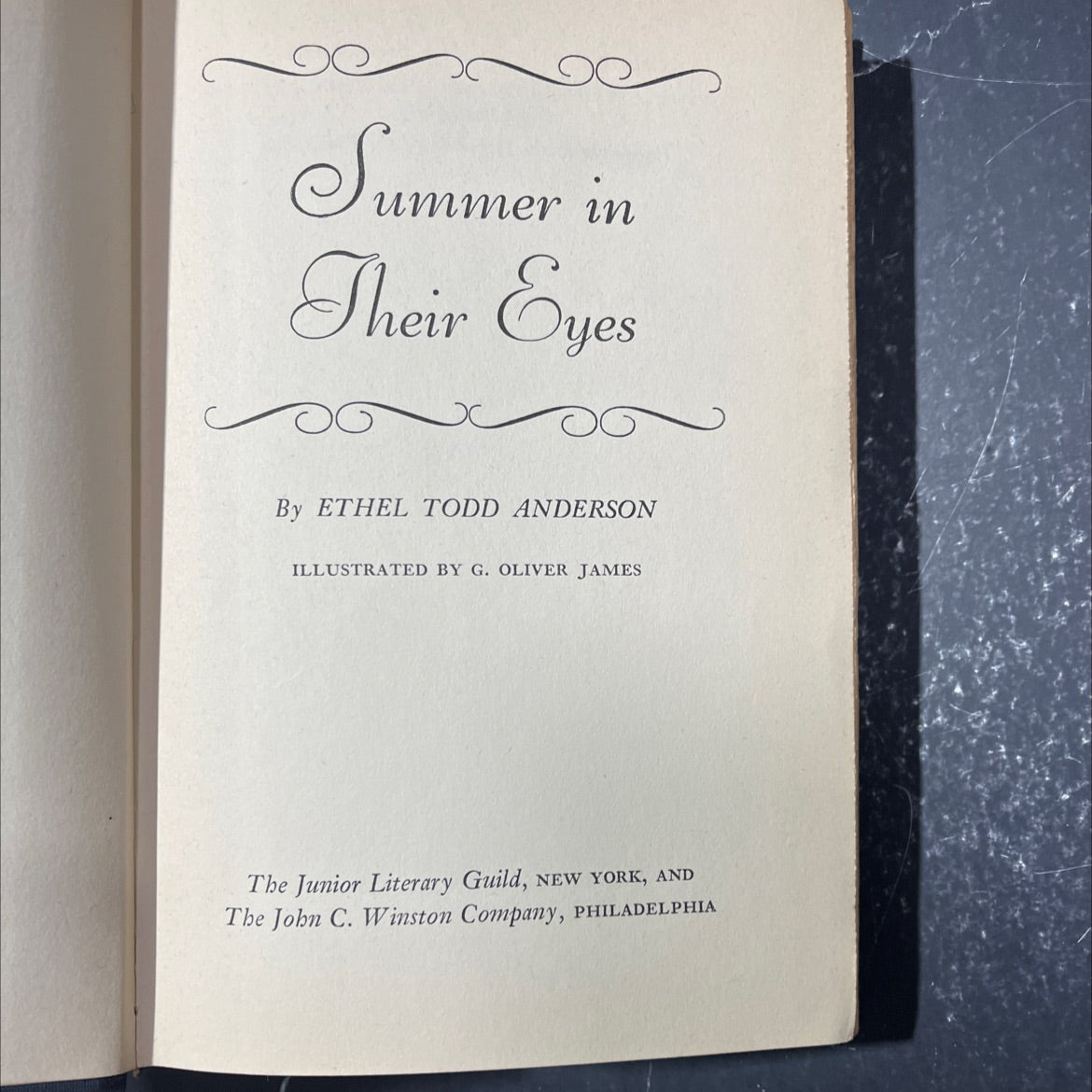 summer in their eyes book, by ethel todd anderson, 1952 Hardcover image 2