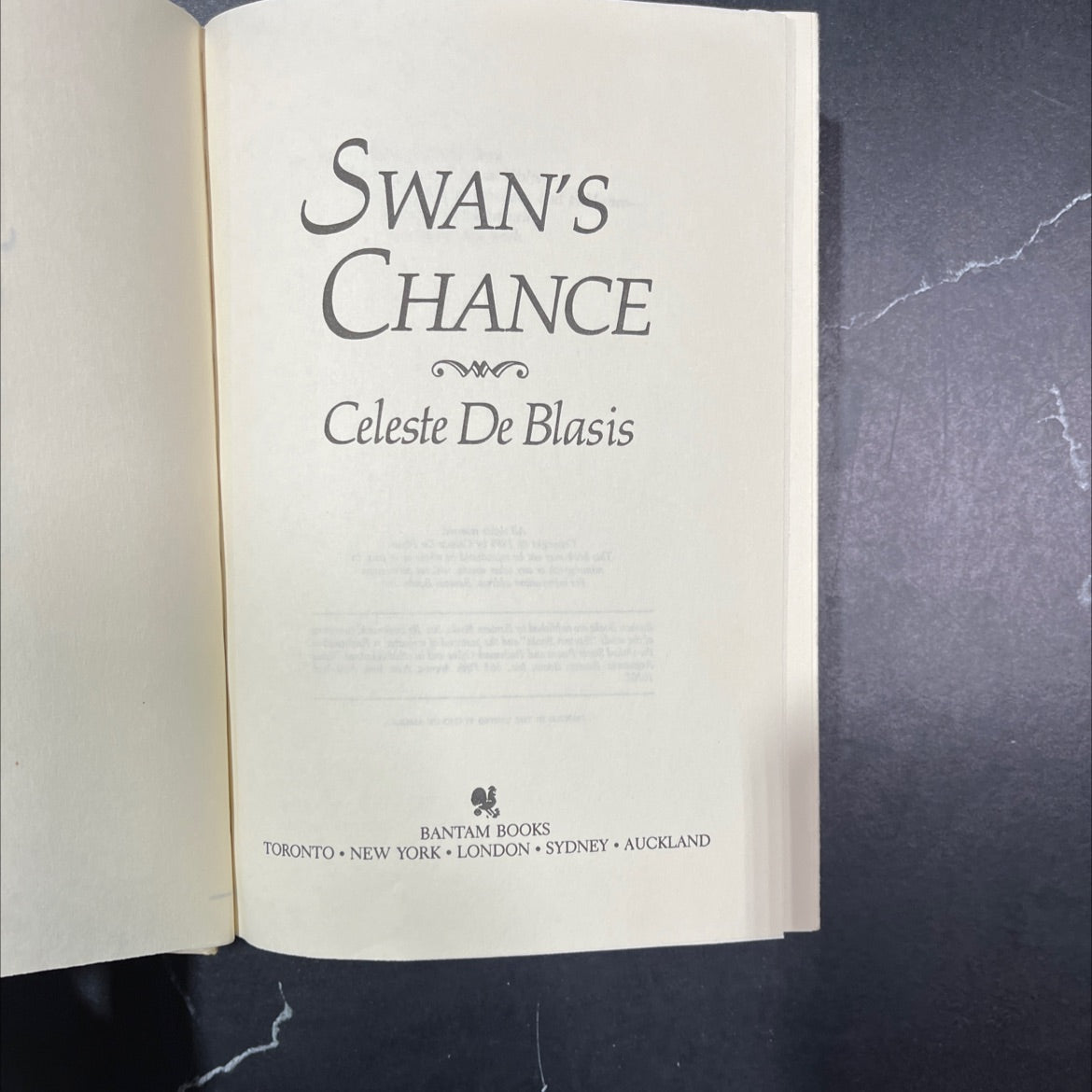 swan's chance book, by celeste de blasis, 1985 Hardcover, Vintage image 2