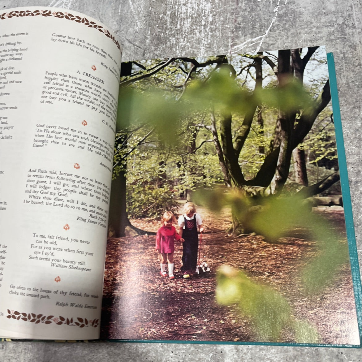 tapestries of life book, by Phyllis Hobe, 1974 Hardcover image 4