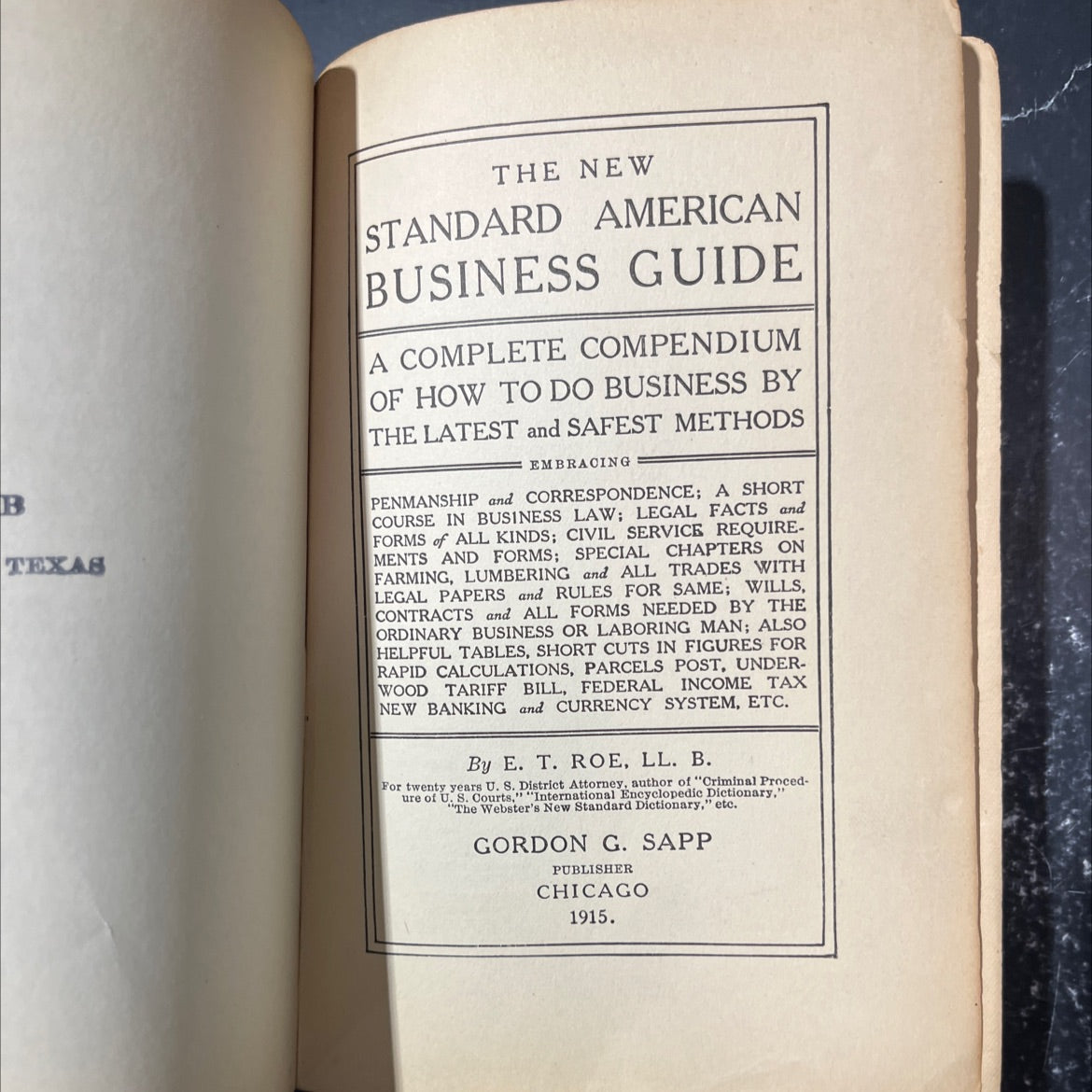 texas the new standard american business guide book, by e. t. roe, 1915 Leather image 2