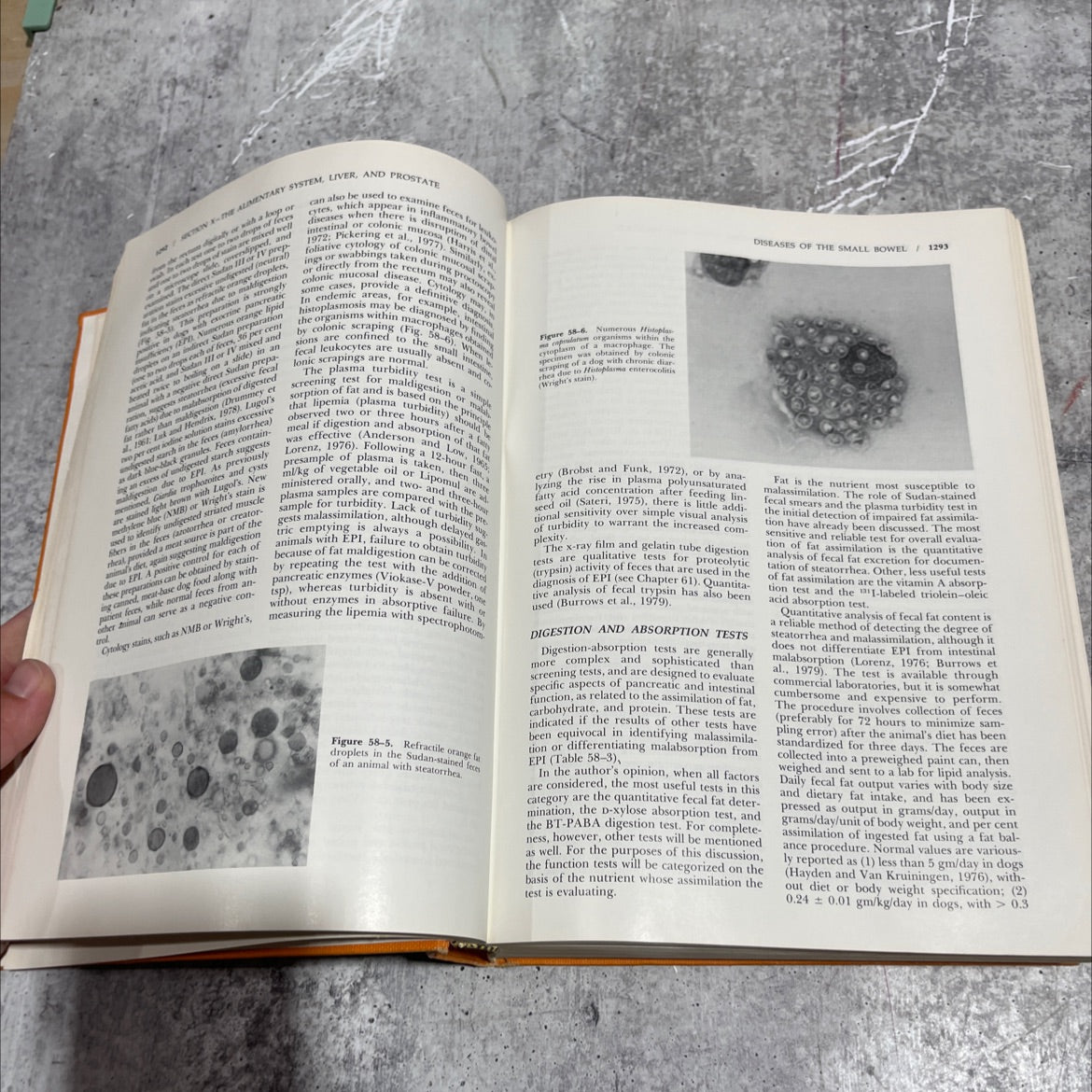 textbook of veterinary internal medicine diseases of the dog and cat book, by Stephen J. Ettinger, D.V.M., 1983 image 4