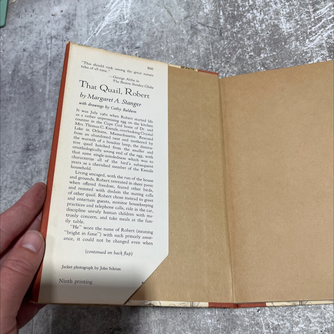 that quail, robert book, by Margaret A. Stanger, 1966 Hardcover image 4