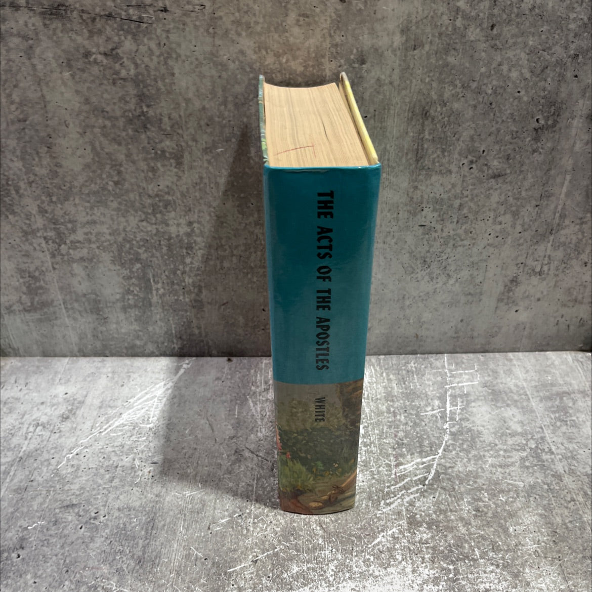 the acts of the apostles in the proclamation of the gospel of jesus christ book, by ellen g. white, 1970 Hardcover image 4