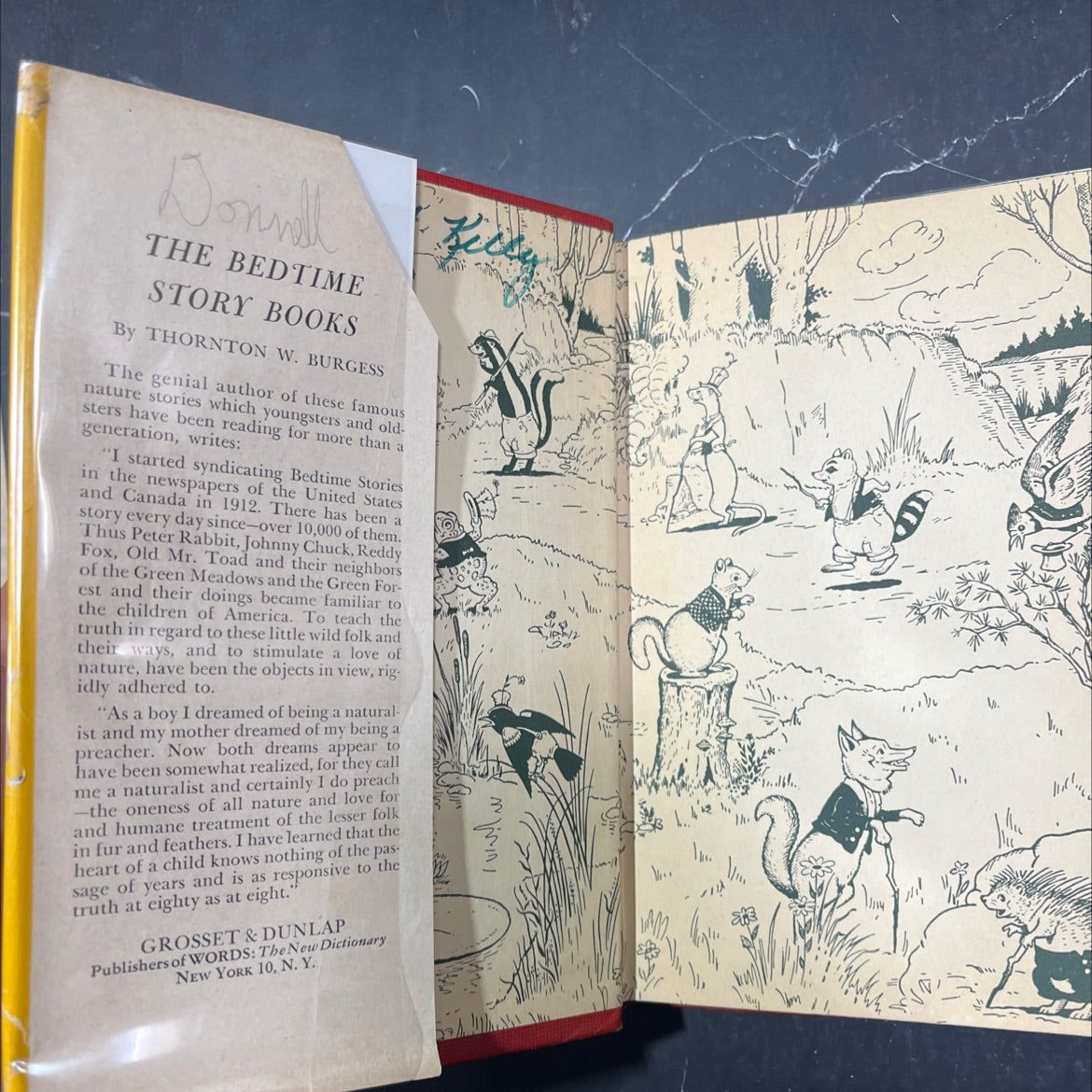 the adventures of chatterer the red squirrel book, by thornton w. burgess, 1943 Hardcover image 4