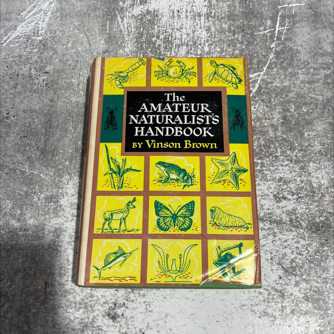 the amateur naturalist's handbook book, by vinson brown, 1948 Hardcover image 1