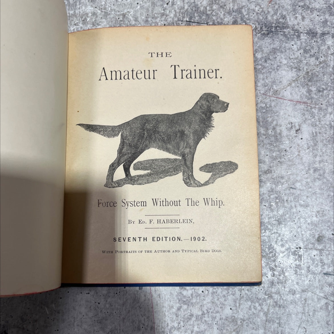 the amateur trainer. force system without the whip book, by ed. f. haberlein, 1902 Hardcover image 2
