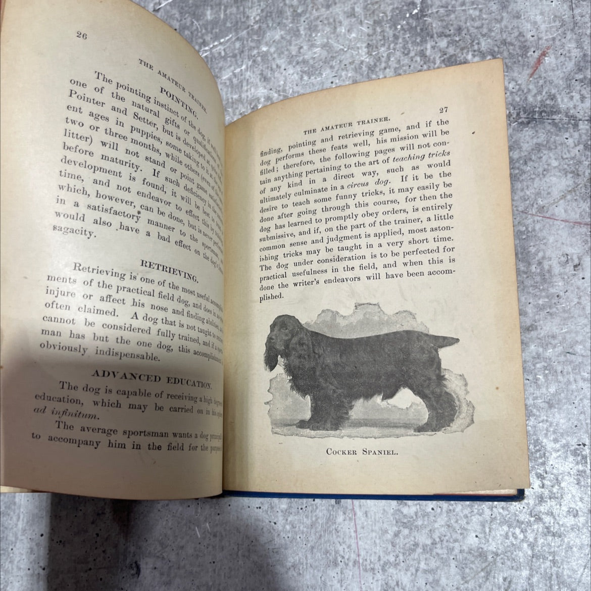 the amateur trainer. force system without the whip book, by ed. f. haberlein, 1902 Hardcover image 4