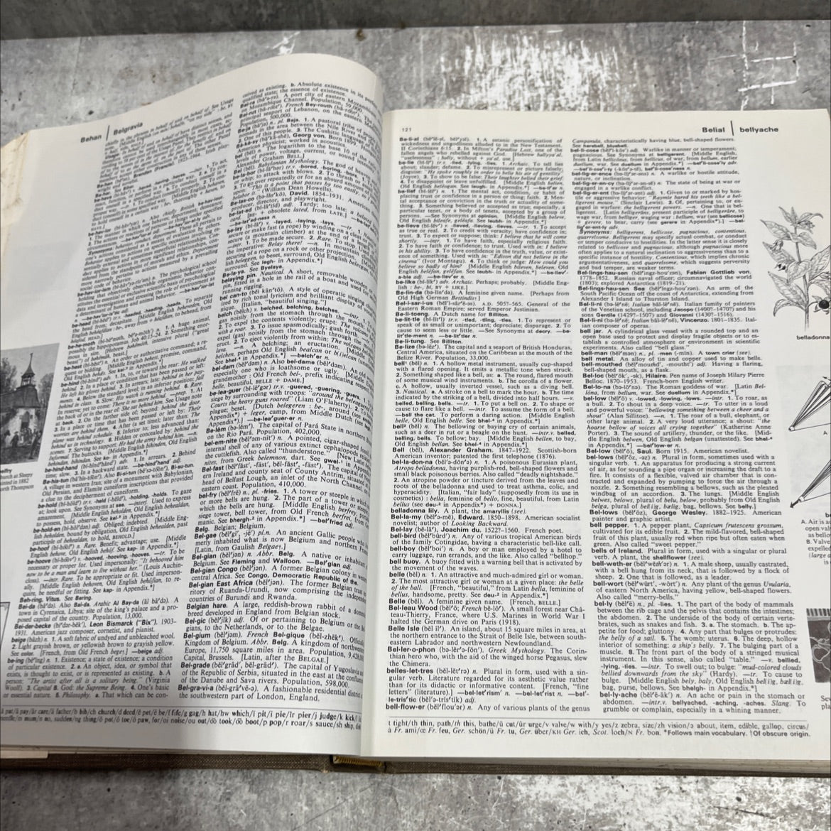 the american heritage dictionary of the english language book, by william morris, 1971 Hardcover image 4
