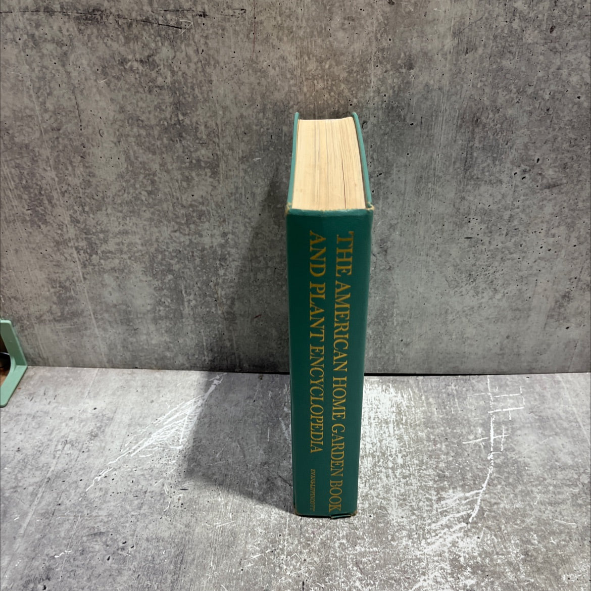 the american home garden book and plant encyclopedia book, by editors and staff of the american home, 1963 Hardcover image 4