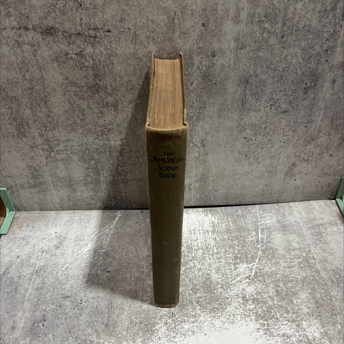 the american scrap book book, by s. j. woolf, 1928 Hardcover image 4