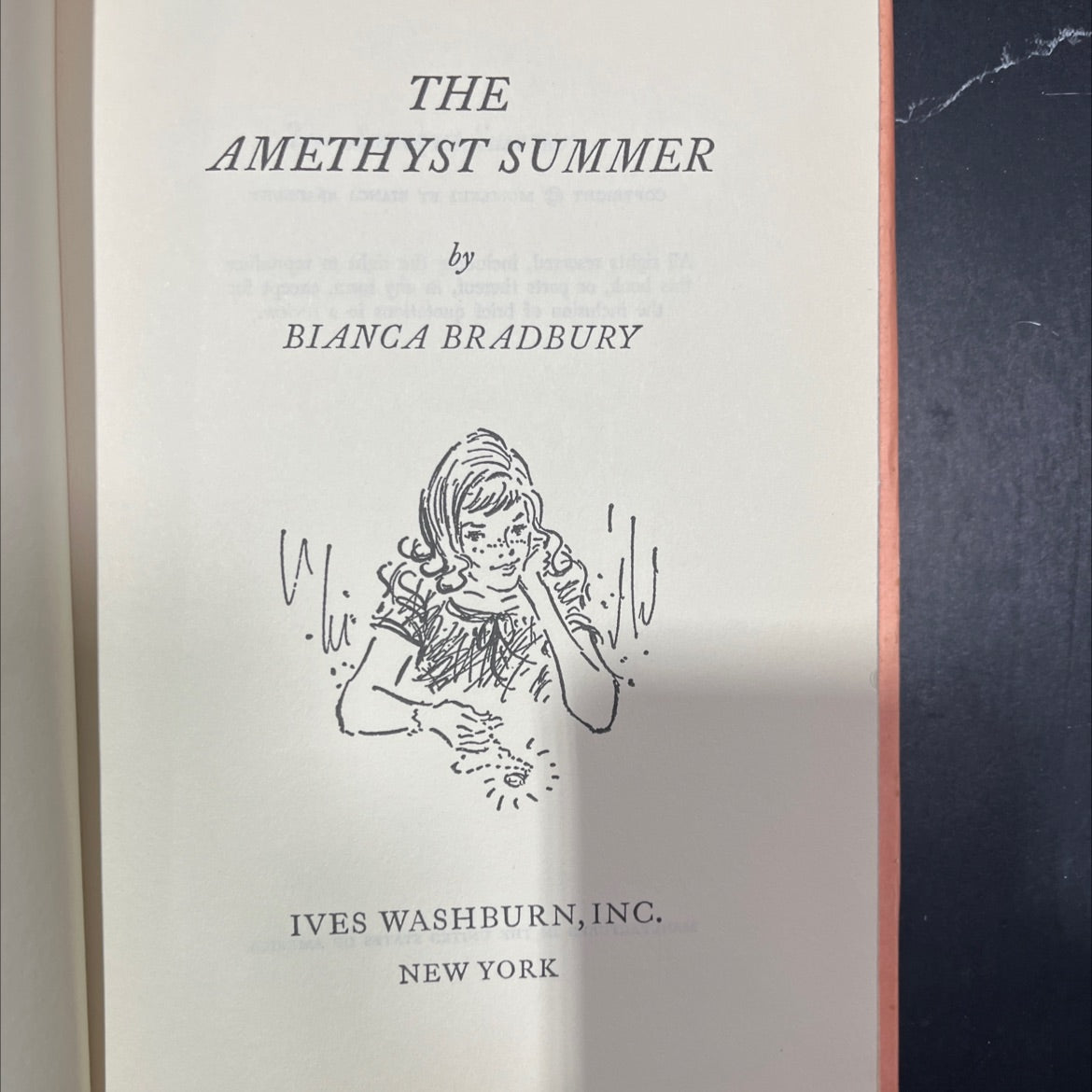 the amethyst summer book, by bianca bradbury, 1963 Hardcover image 2