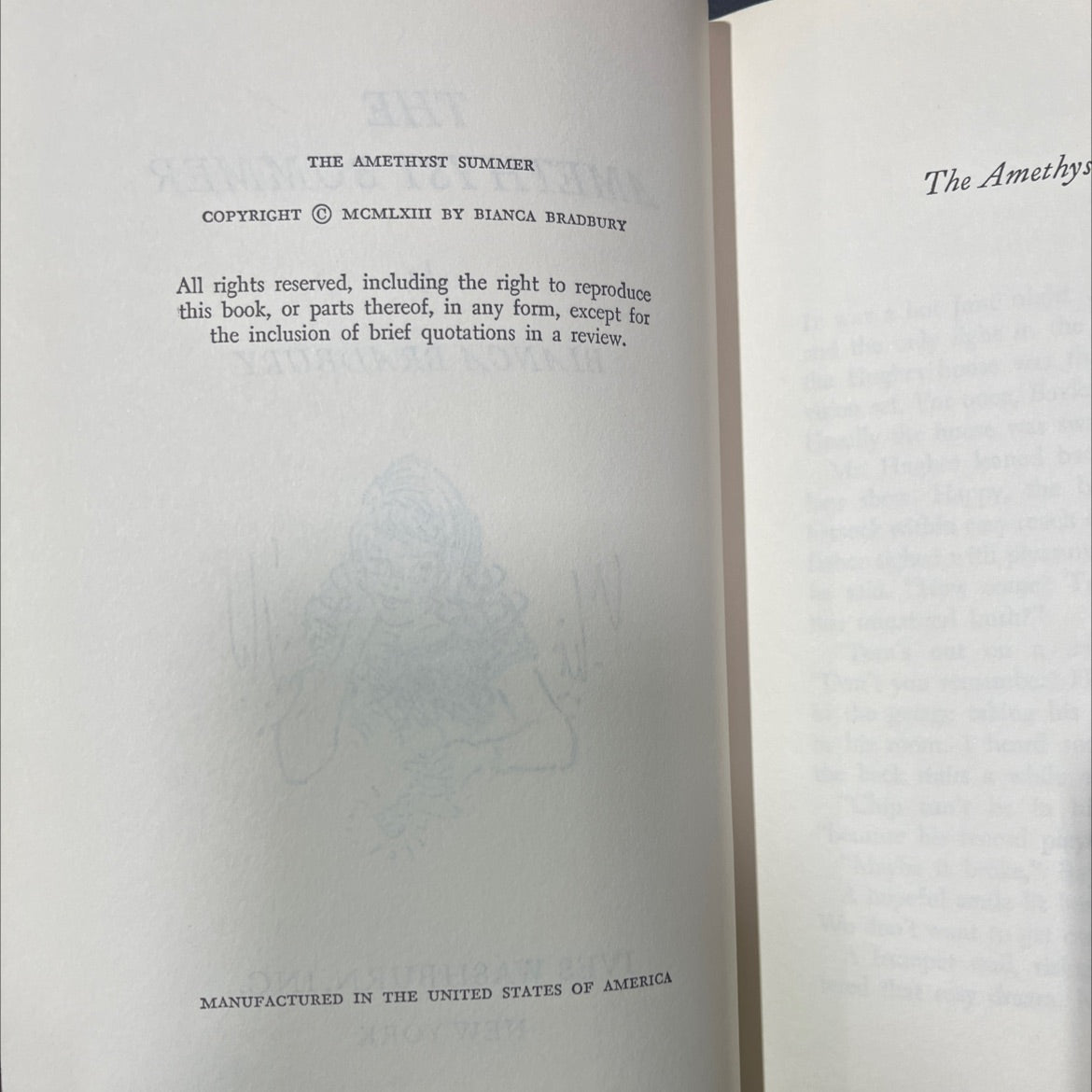 the amethyst summer book, by bianca bradbury, 1963 Hardcover image 3