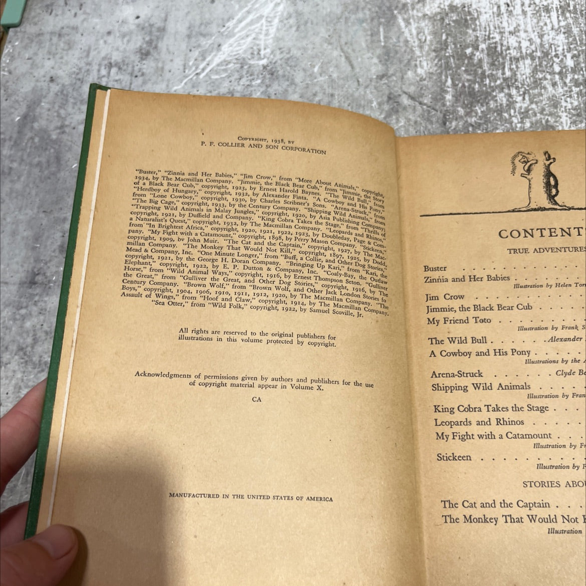 the animal book book, by mabel williams, marcia dalphin, 1938 Hardcover image 3