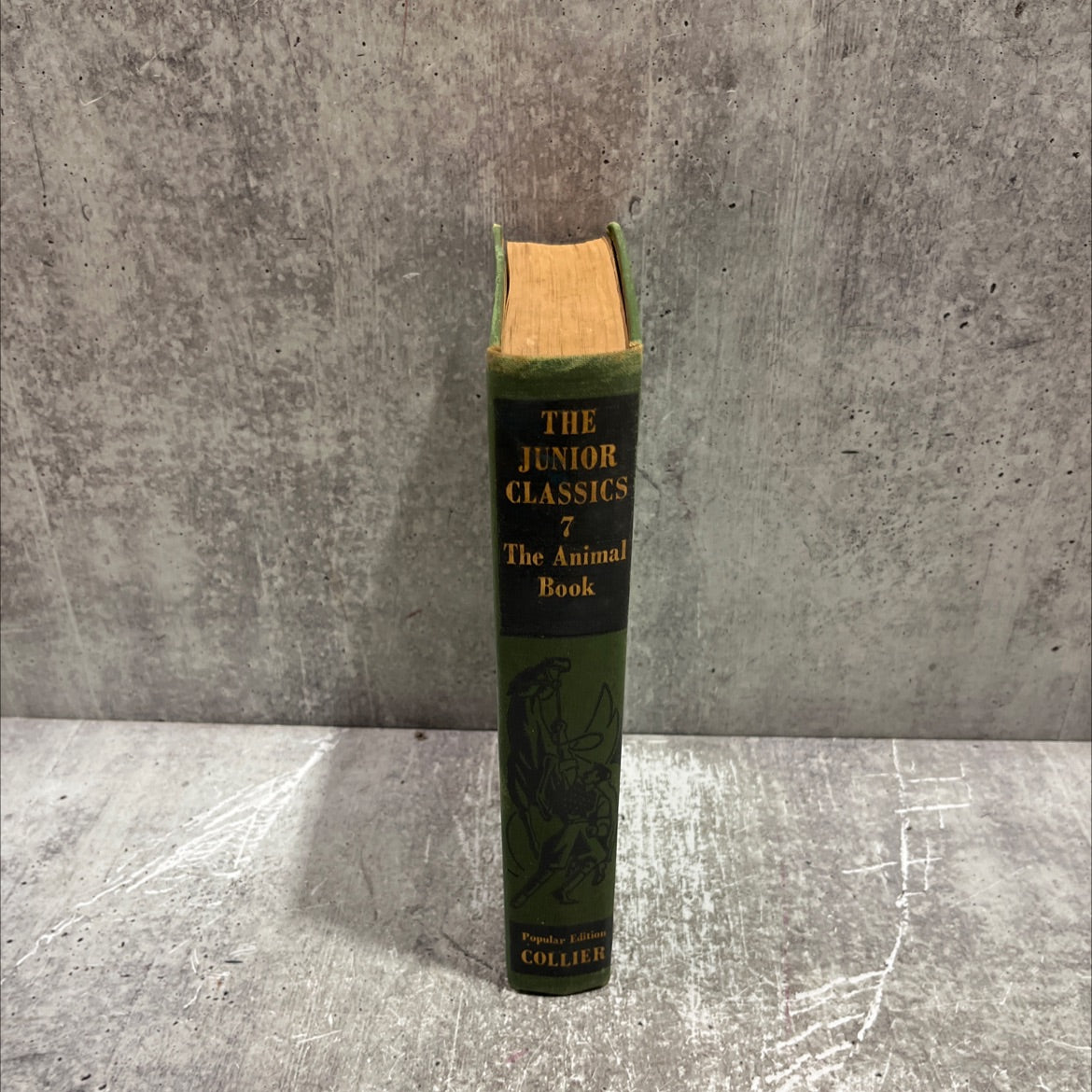 the animal book book, by mabel williams, marcia dalphin, 1938 Hardcover image 4