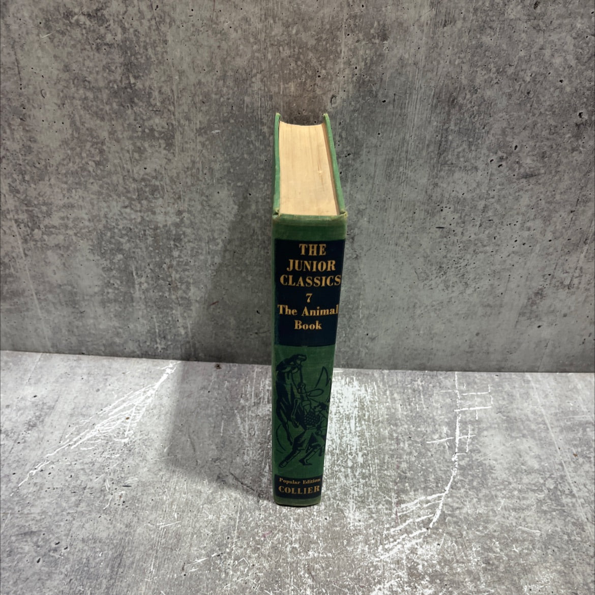 the animal book book, by mabel williams, marcia dalphin, 1959 Hardcover image 4