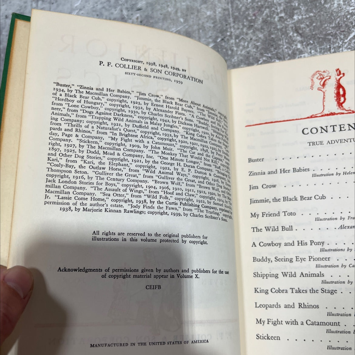 the animal book book, by mabel williams, marcia dalphin, 1959 Hardcover image 3