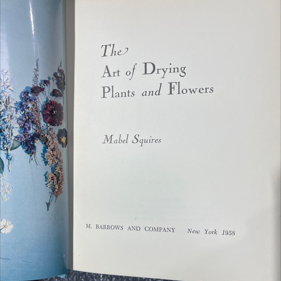 the art of drying plants and flowers book, by Mabel Squires, 1958 Hardcover image 2