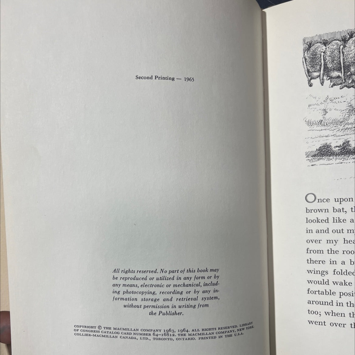 the bat-poet book, by randall jarrell, 1965 Hardcover image 3