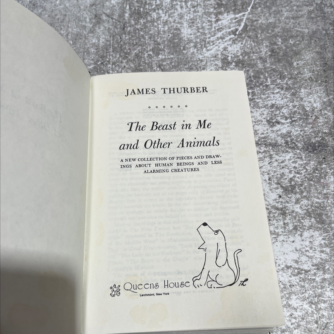 the beast in me and other animals book, by james thurber, 1948 Hardcover image 2