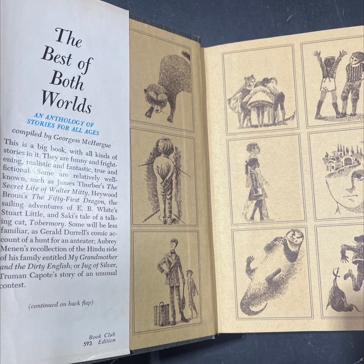 the best of both worlds book, by Georgess McHargue, 1968 Hardcover image 4