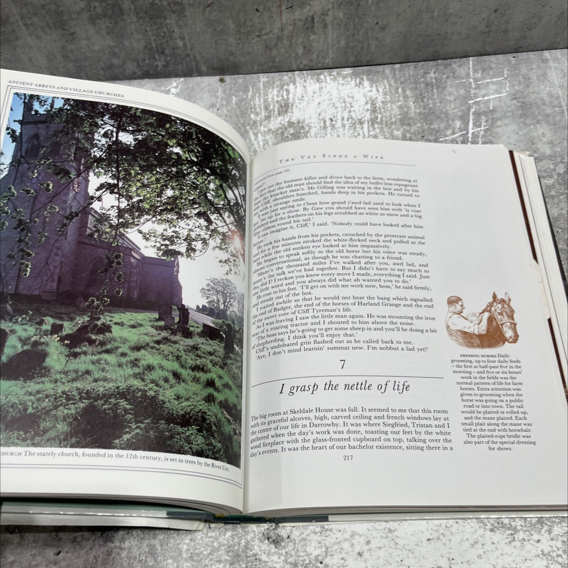 the best of james herriot book, by james herriot, 1982 Hardcover image 4