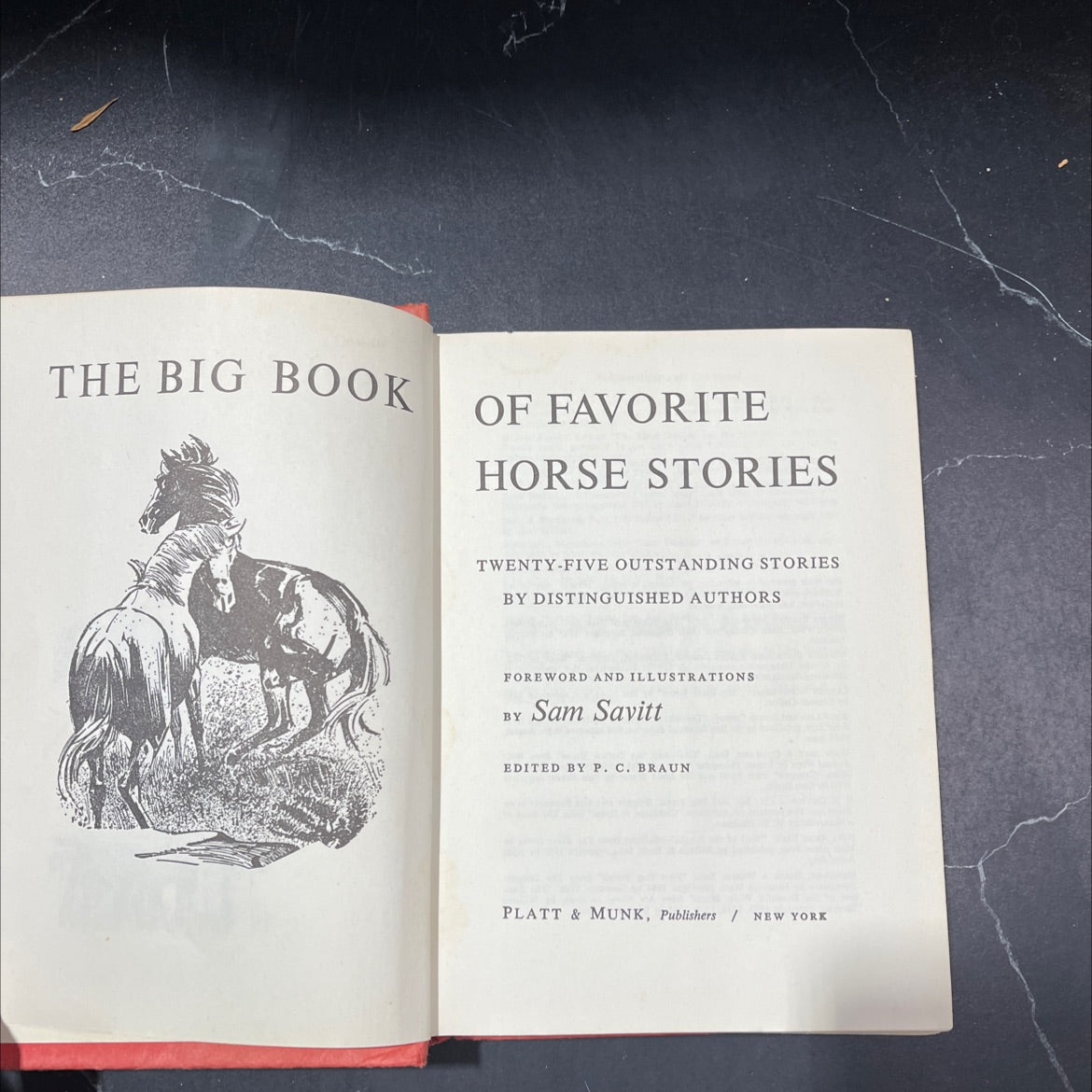 the big book of favorite horse stories book, by unknown, 1965 Hardcover image 2