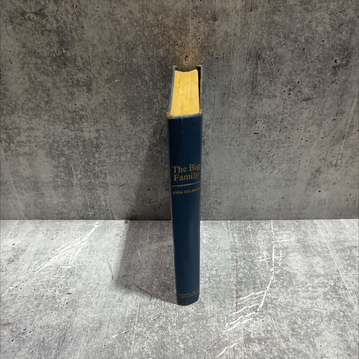 the big family book, by viña delmar, 1961 Hardcover image 4