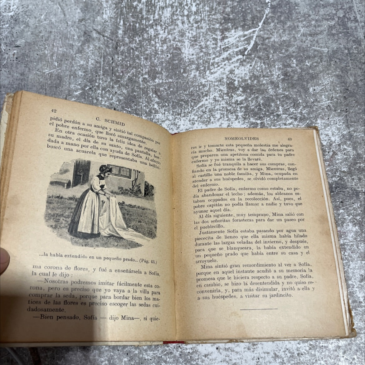 the bird's nest book, by cristóbal schmid, 1970 Hardcover image 4