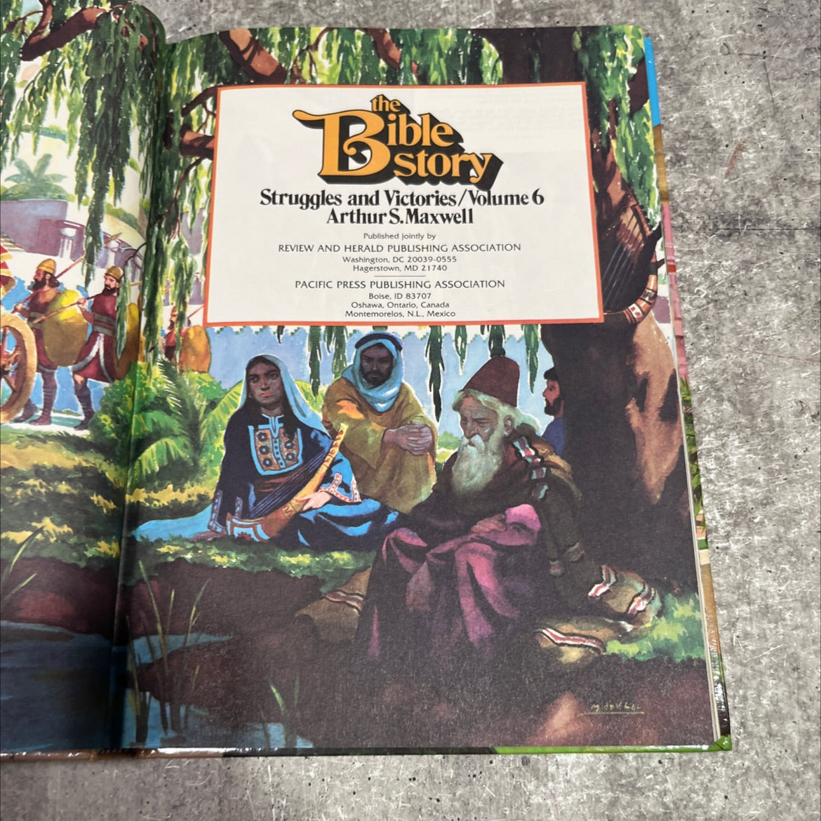 the bist ible story struggles and victories/volume 6 book, by Arthur S. Maxwell, 1983 Hardcover image 2