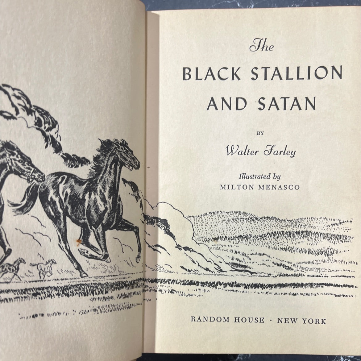 the black stallion and satan book, by walter farley, 1949 Hardcover image 2