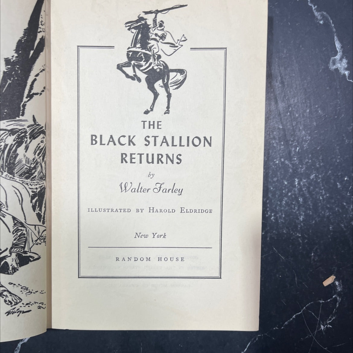 the black stallion returns book, by Walter Farley, 1945 Hardcover image 2