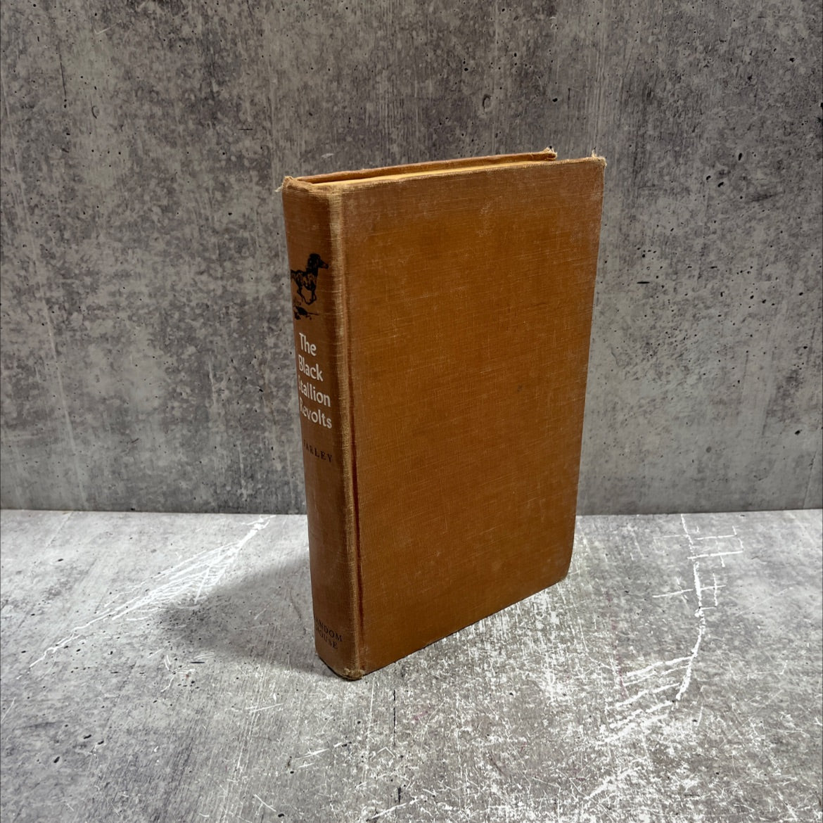 the black stallion revolts book, by walter farley, 1953 Hardcover image 1