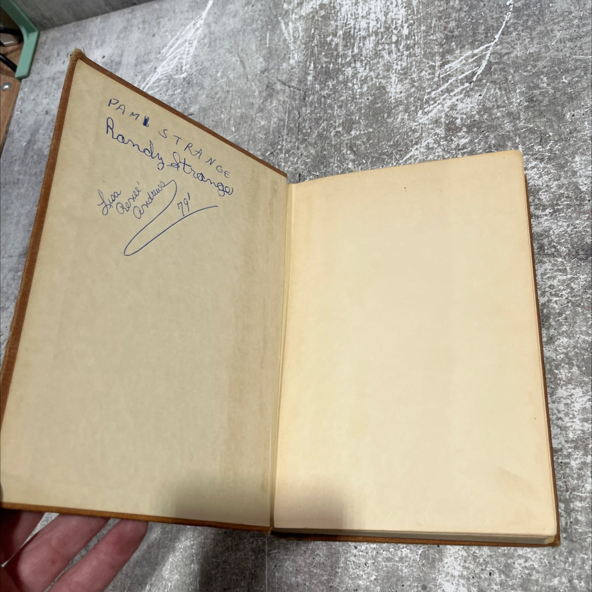 the black stallion revolts book, by walter farley, 1953 Hardcover image 4
