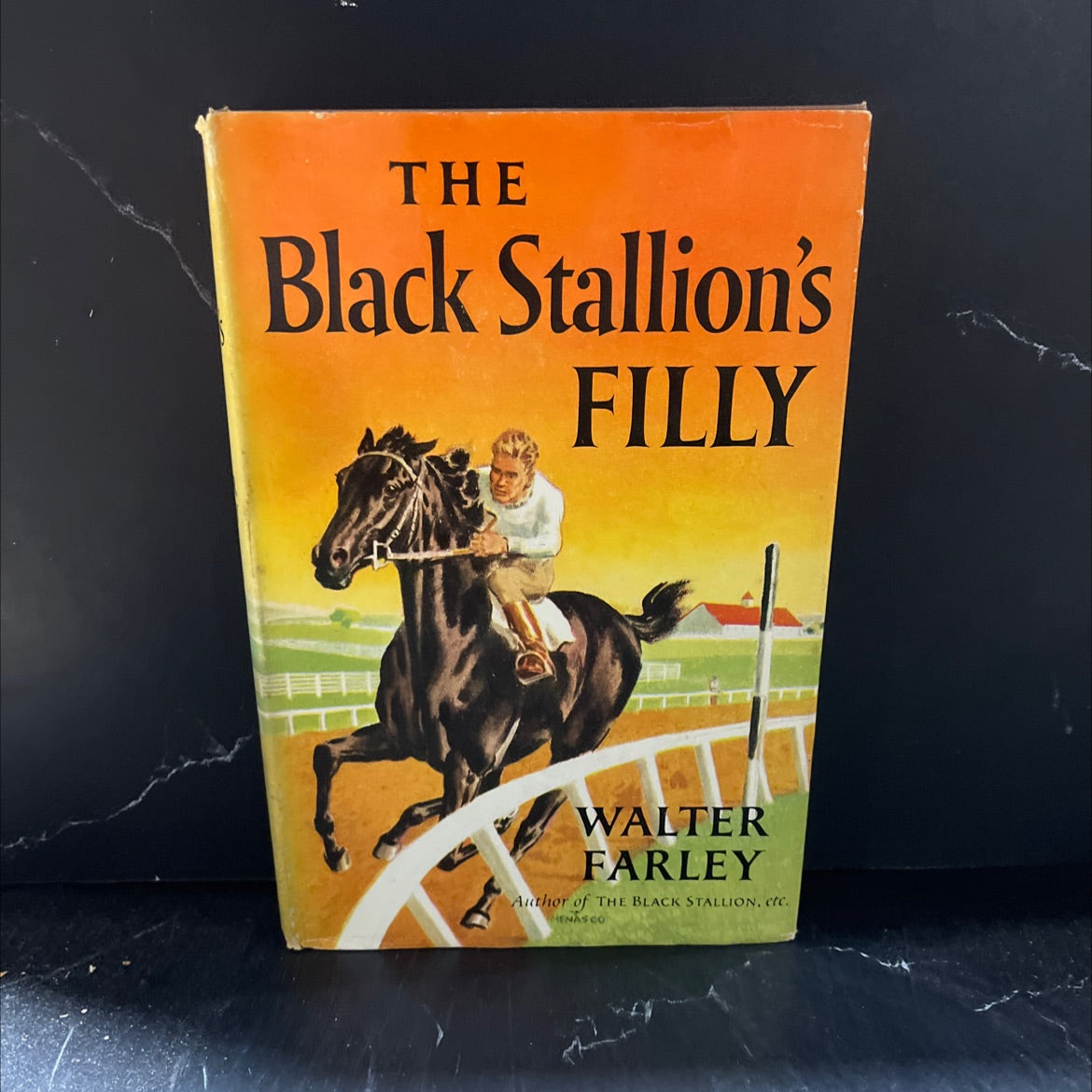 the black stallion's filly book, by walter farley, 1952 Hardcover image 1