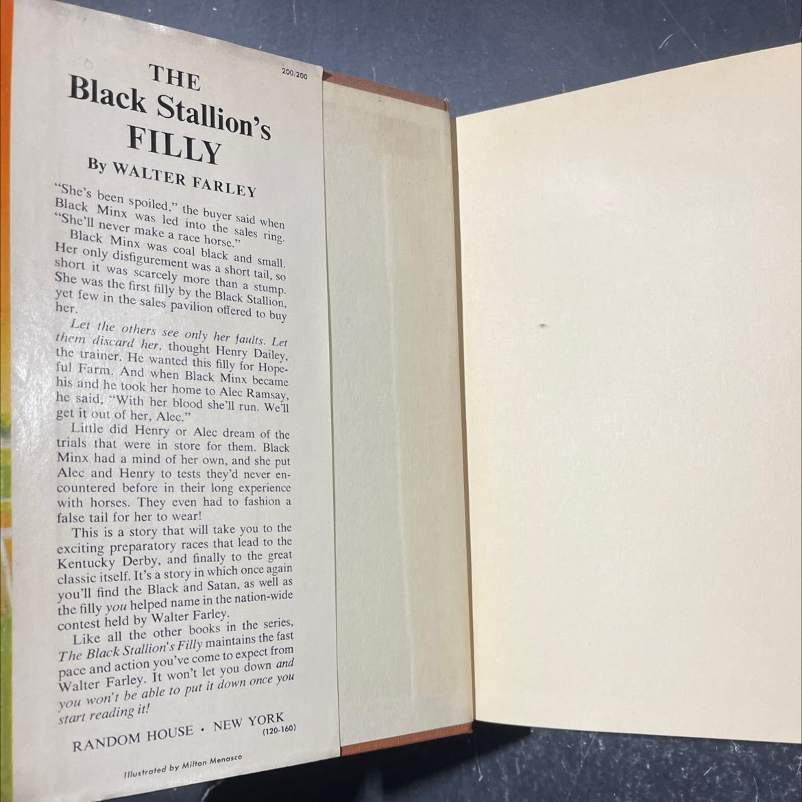 the black stallion's filly book, by walter farley, 1952 Hardcover image 4