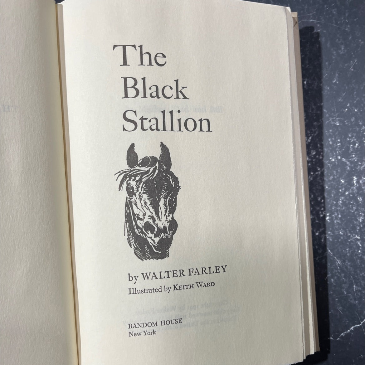 the black stallion book, by walter farley, 1968 Hardcover image 2