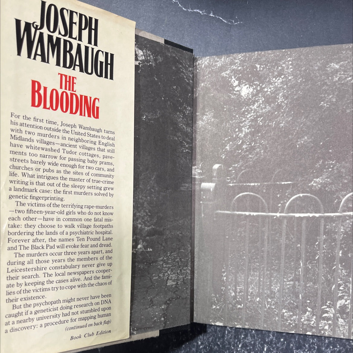 the blooding book, by Joseph Wambaugh, 1989 Hardcover image 4