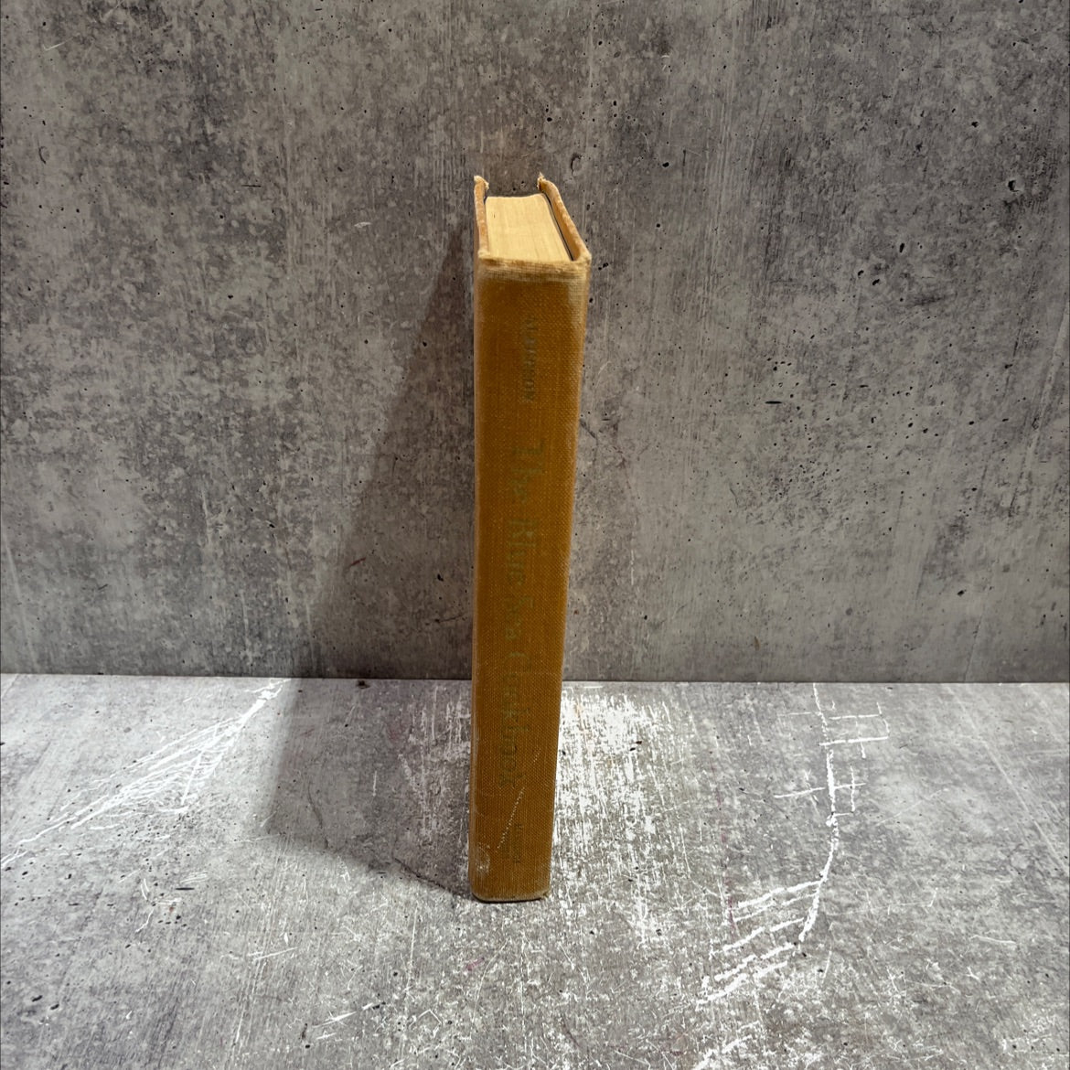 the blue sea cookbook book, by sarah d. alberson, 1968 Hardcover image 4