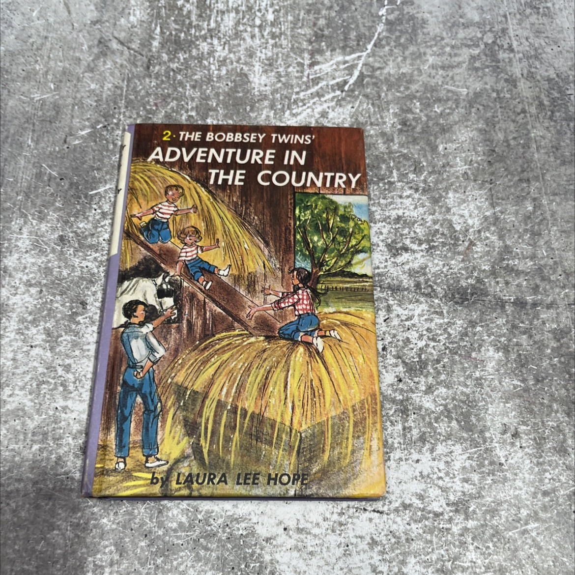 the bobbsey twins' adventure in the country book, by laura lee hope, 1961 Hardcover image 1