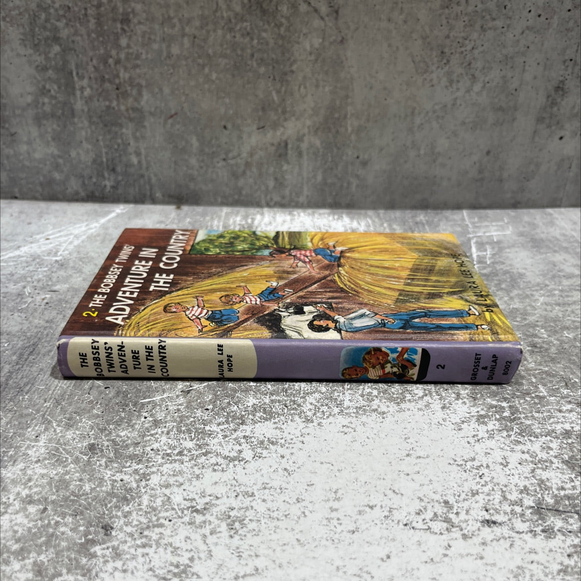 the bobbsey twins' adventure in the country book, by laura lee hope, 1961 Hardcover image 4