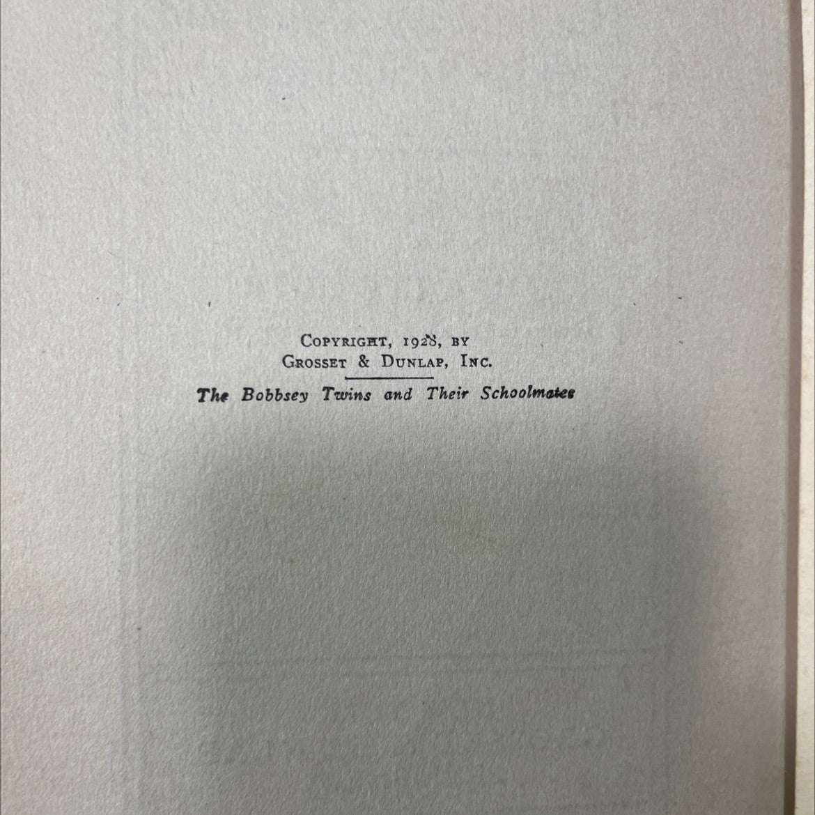 the bobbsey twins and their schoolmates book, by laura lee hope, 1928 Hardcover image 3