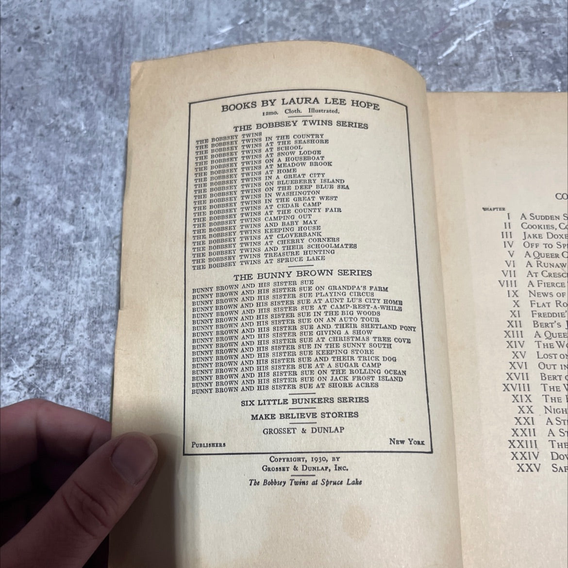 the bobbsey twins at spruce lake book, by laura lee hope, 1930 Hardcover image 3