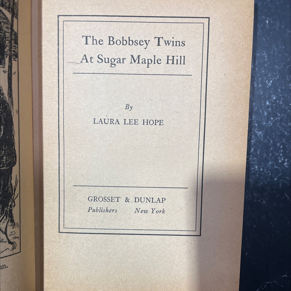 the bobbsey twins at sugar maple hill book, by laura lee hope, 1946 Hardcover image 2