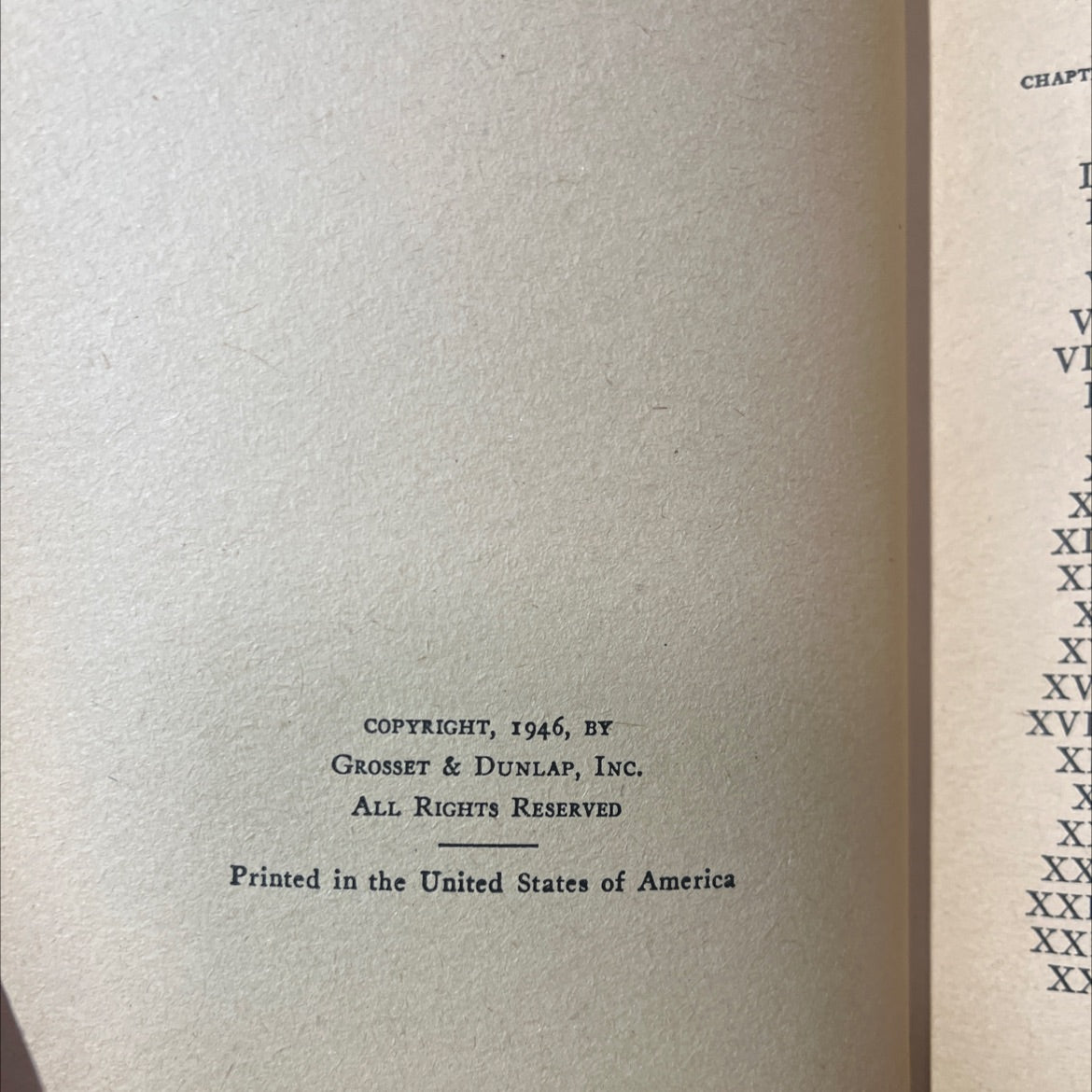 the bobbsey twins at sugar maple hill book, by laura lee hope, 1946 Hardcover image 3