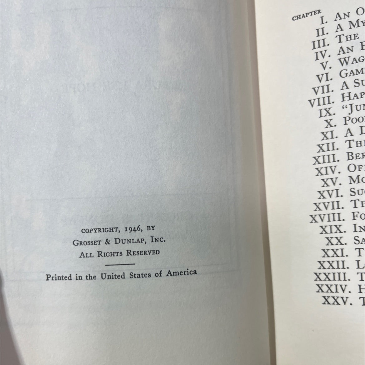 the bobbsey twins at sugar maple hill book, by laura lee hope, 1946 Hardcover image 3