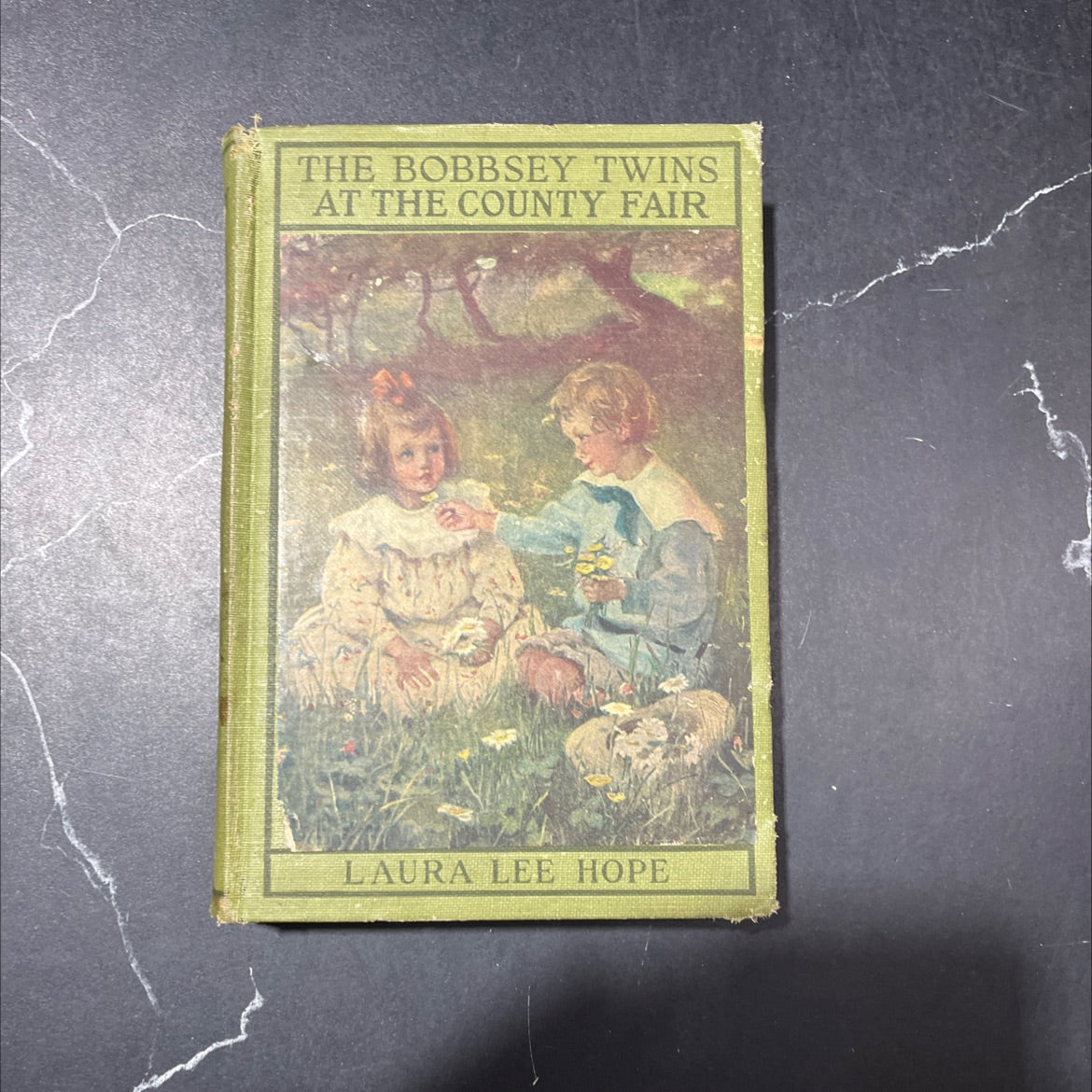 the bobbsey twins at the county fair book, by laura lee hope, 1922 Hardcover image 1