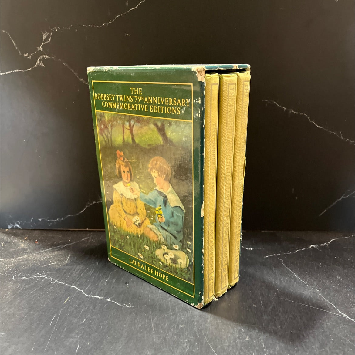 the bobbsey twins at the seashore book, by laura lee hope, 1979 Hardcover, Folio image 4